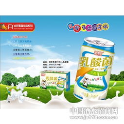 润庄食品310ml乳酸菌 性价比之选与组合装探秘
