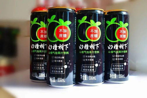 冠芳集团新品发布 “千车战略”赋能终端，饮料组合装引领市场新趋势